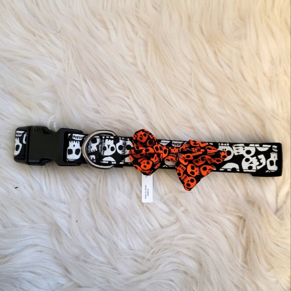 *Brand New* Halloween Collar